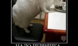 Надо червячка заморить