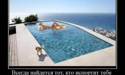 Всегда найдется тот