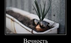 Вечность