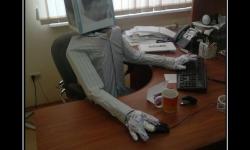 Шла вторая неделя