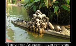 В джунглях Амазонки