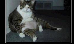 А я хочу, а я хочу опять ....