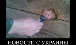 Новости с Украины