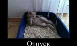 Отпуск - это состояние души