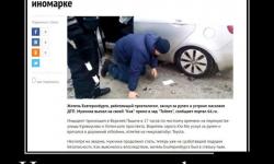 Попугай?