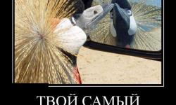 Твою самый лютый враг