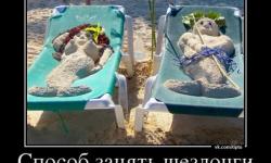 Способ занять шезлонги