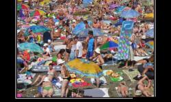 Подальше от городской суеты