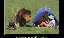 Утренний лев