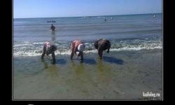 Сразу видно - дачники