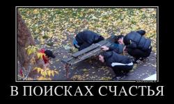 В поисках