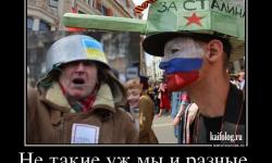 Не такие уж мы разные