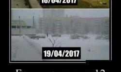 Если кто увидит