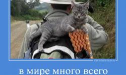 В мире много всего интересного