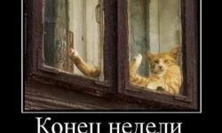 Конец недели