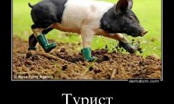 Турист