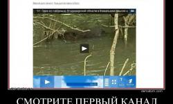 Смотрите первый канал
