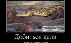 Добиться цели