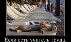 Если есть учитель труда