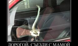 С мамой в магазин